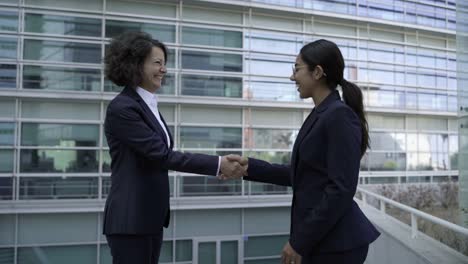 mujeres de negocios profesionales saludándose entre sí.