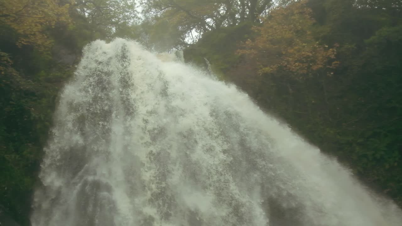 Majestic Waterfall in Lush Forest