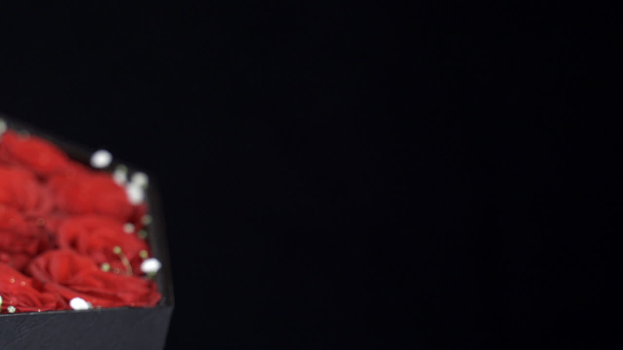 빨간 장미 슬라이더의 블랙 박스 샷 검은 배경 세부 샷