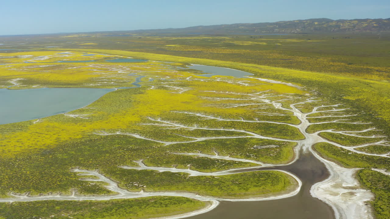 experimente la impresionante vista panorámica de las llanuras de carrizo, una maravilla natural que muestra la impresionante belleza de la naturaleza.