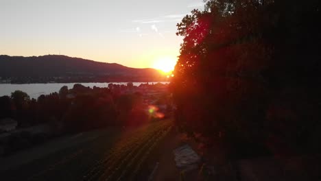 Beautiful-aerial-drone-shot-rising-sideways-with-the-sunset-through-the-trees-revealing-the-city-of-Zürich-Switzerland