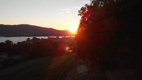 beautiful aerial drone shot rising sideways with the sunset through the trees revealing the city of zürich switzerland