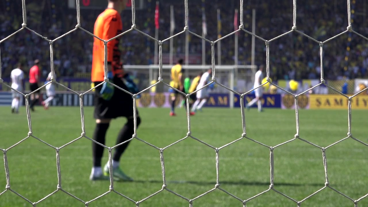Profesyonel Maç Sırasında Futbol Sahasında Yürüyen Kaleci