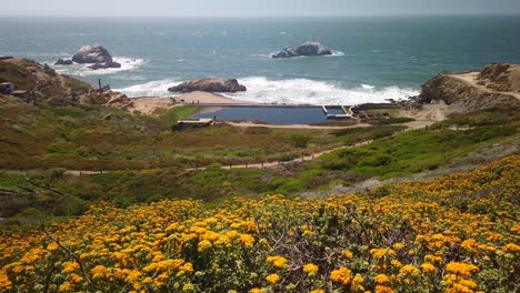 Disparo-De-Mano-En-Auge-Desde-Flores-Silvestres-Doradas-En-Primer-Plano-Hasta-Las-Ruinas-De-Los-Baños-Sutro-Al-Final-De-La-Tierra-En-El-Fondo