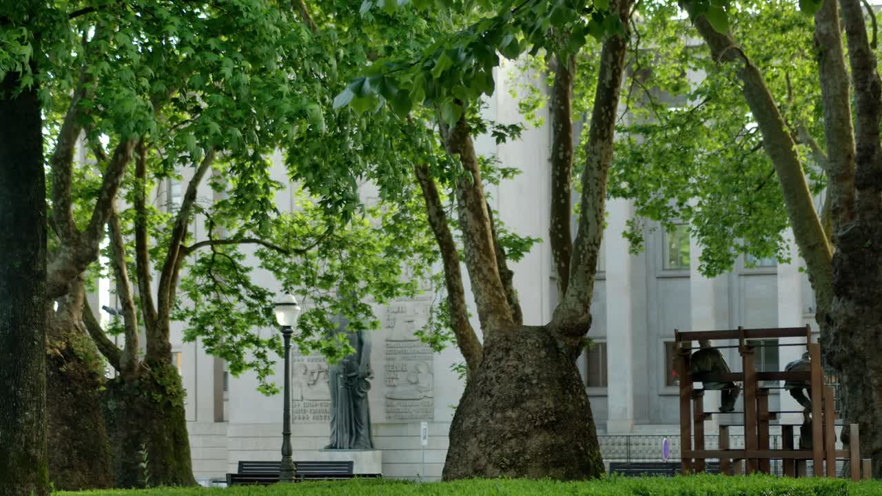 A static shot of some wierd looking trees in a park in Porto.