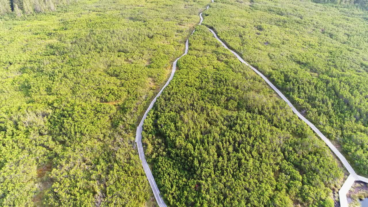 antena sobre paseos marítimos en los lagos lovrenska rodeados de exuberantes páramos verdes