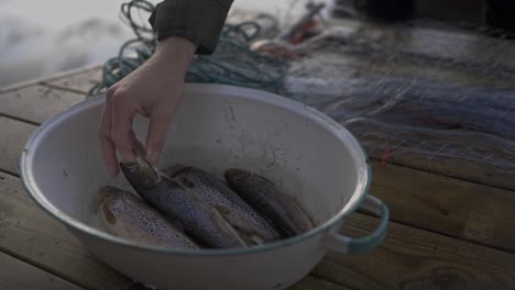 trout placed in a white basin beside a fishing net