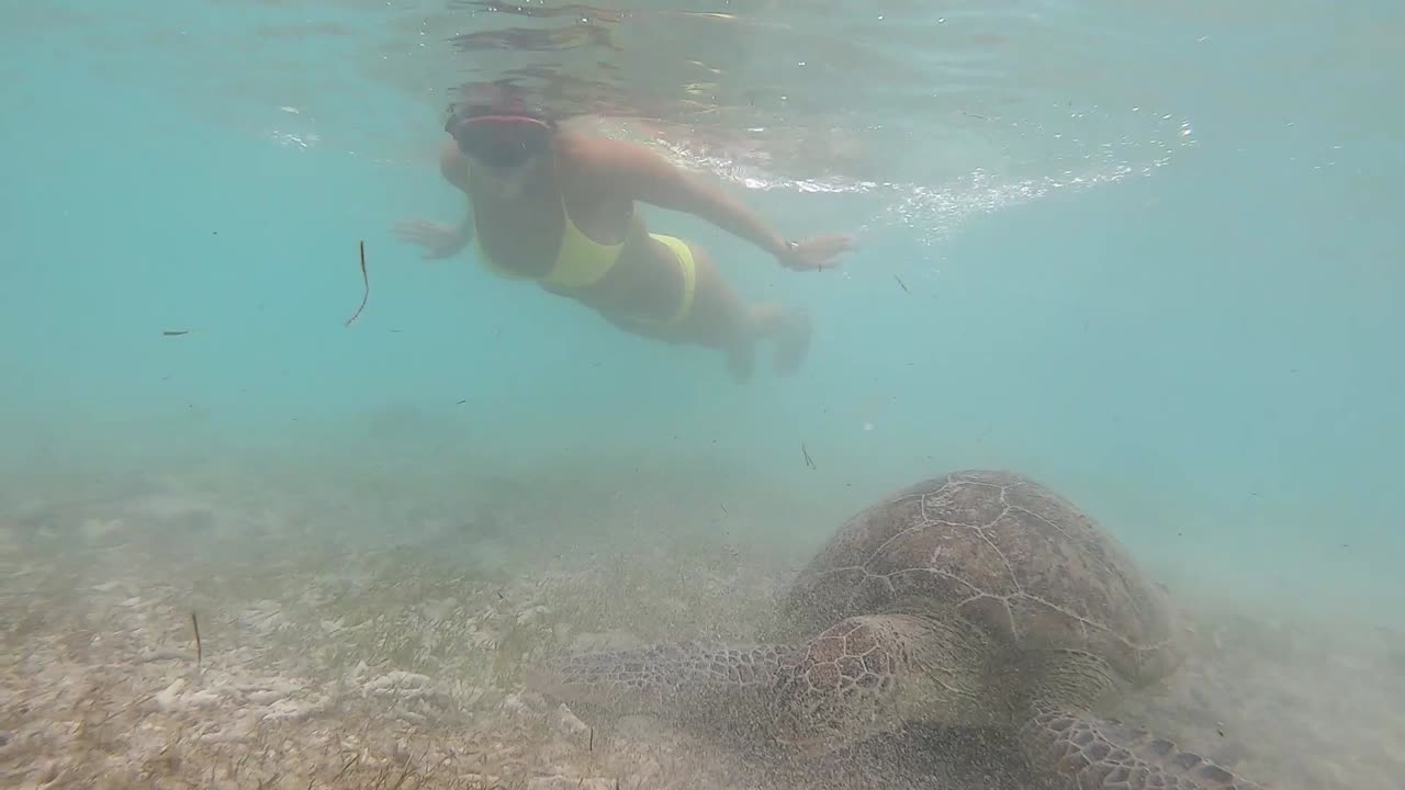 인도네시아 발리 롬복의 길리 섬에서 거북이와 함께 수영하는 소녀