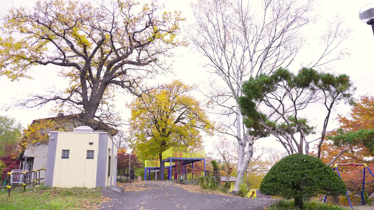 오타루 최고의 뷰