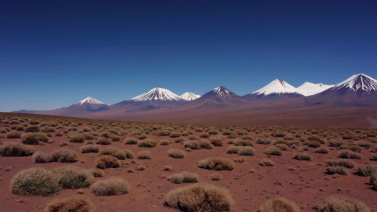Arid Desert Landscape with Snow-Capped Mountains Under a Clear Blue Sky