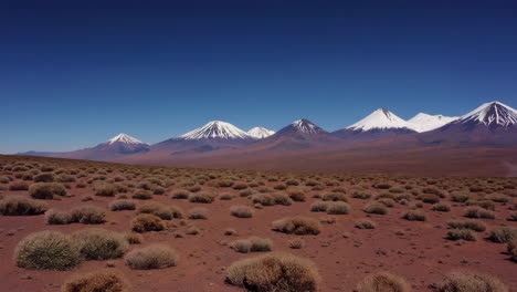 arid desert landscape with snow-capped mountains under a clear blue sky