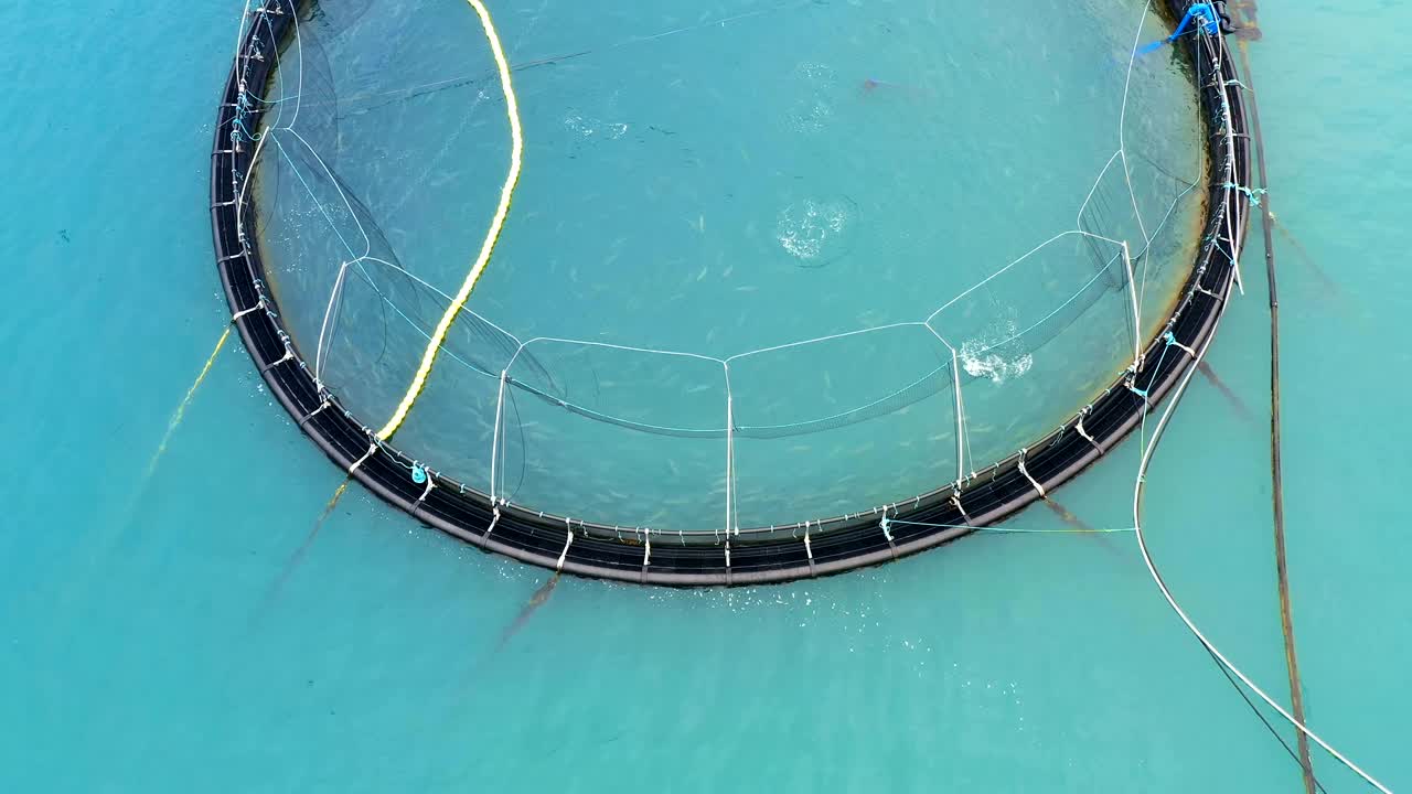 노르웨이에서 연어  ⁇ 시를 하는 공중 촬영