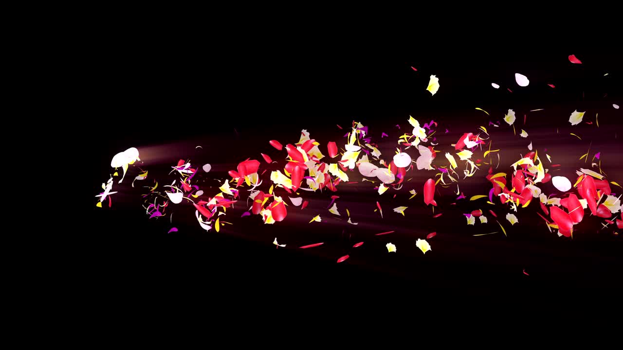 화려한 잎자루, 나선형 반이는 꽃잎, 꽃 모양, 예쁜 춤추는 꽃잎, 회전하는 꽃잎에서 소용돌이, 추상적인 루프 애니메이션.