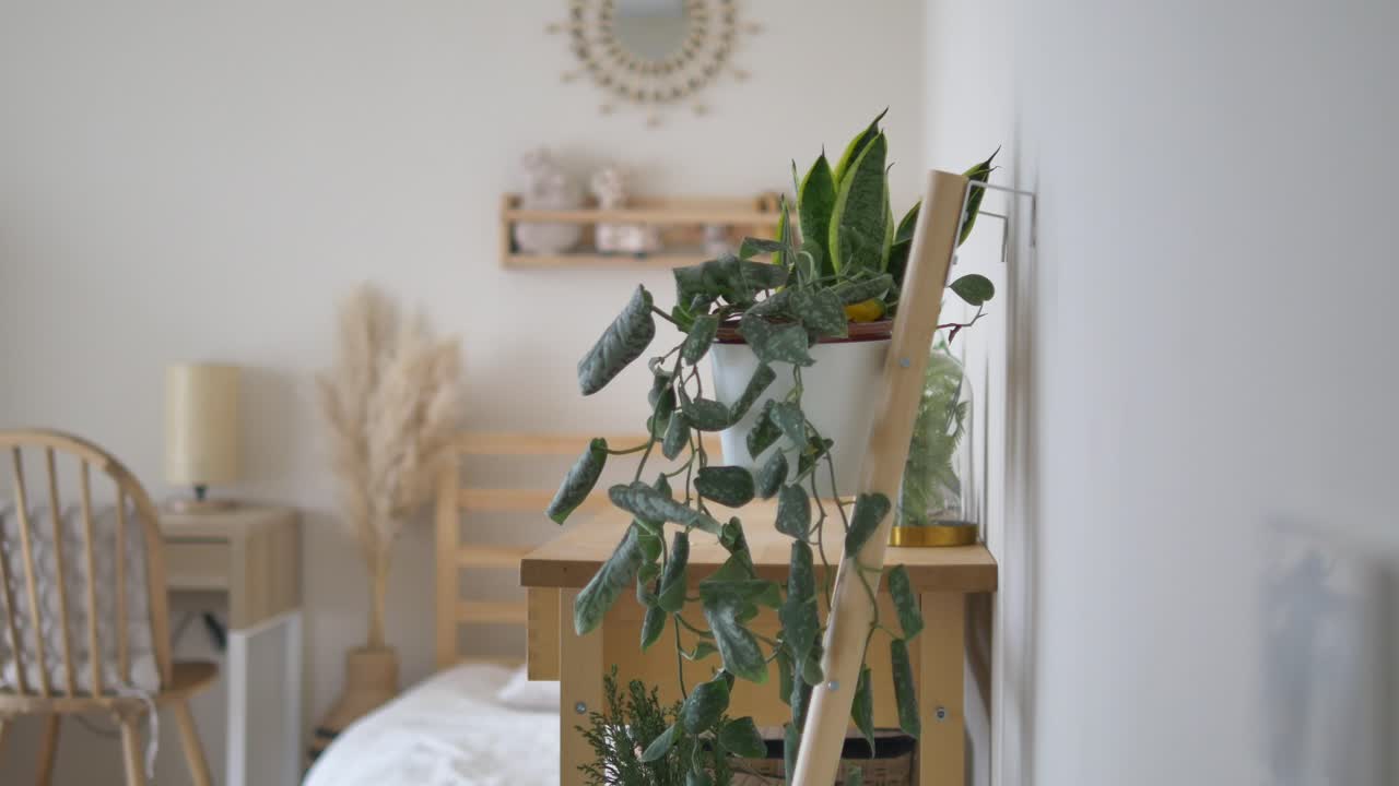 Interno camera da letto luminoso e accogliente con piante d'appartamento e arredamento minimalista
