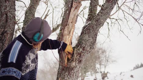 Hombre-Revisando-El-Tronco-De-Un-árbol-Durante-Las-Nevadas-En-Invierno