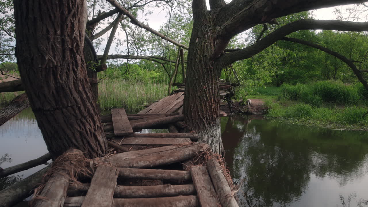 handmade wooden bridge over a small river in lush green forest in spring with handrails made of small trunks and branches
