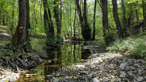 Very-low-drone-footage-of-small-river-in-the-forest,-slow-downstream-movement,-summer-time,-Tzarevo,-Bulgaria-3