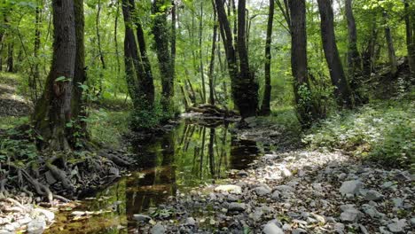 very low drone footage of small river in the forest, slow downstream movement, summer time, tzarevo, bulgaria-3