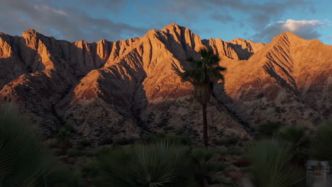 sunrise or sunset over a mountain range with palm trees