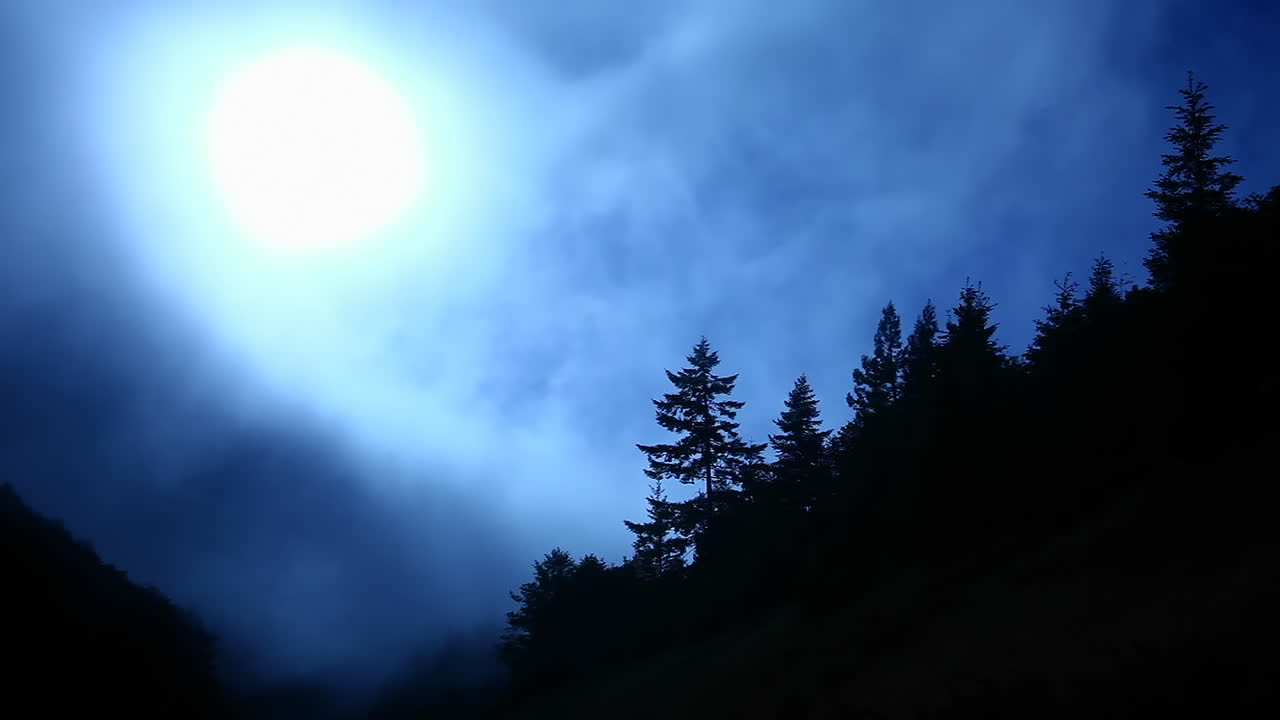 La nebbia avvolge una cima montuosa boscosa