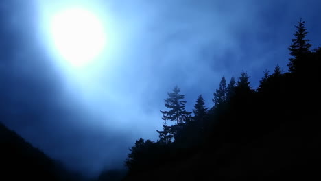 fog rolls past a forested mountain top
