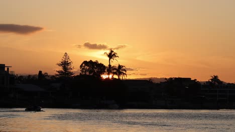 sun setting behind trees and buildings by water