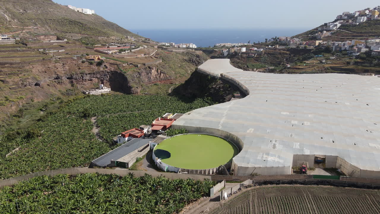 Aerial view in a circle over banana plantations and greenhouses in the Tenoya area on the island of Gran Canaria and on a sunny day