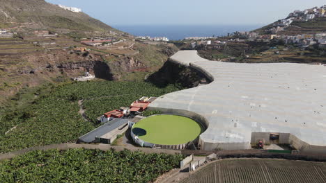 aerial view in a circle over banana plantations and greenhouses in the tenoya area on the island of gran canaria and on a sunny day