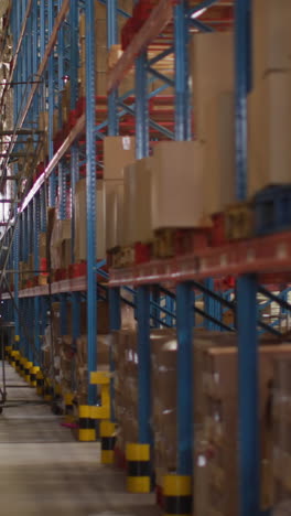 empty warehouse with multiple boxes on shelfs with ladder on floor