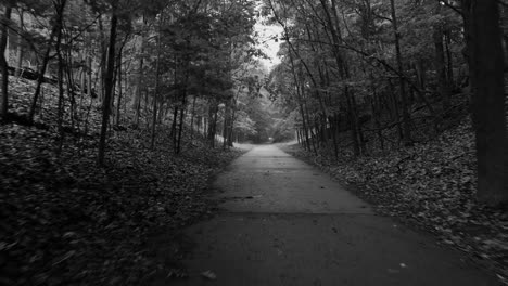 a mist covered path in black and white