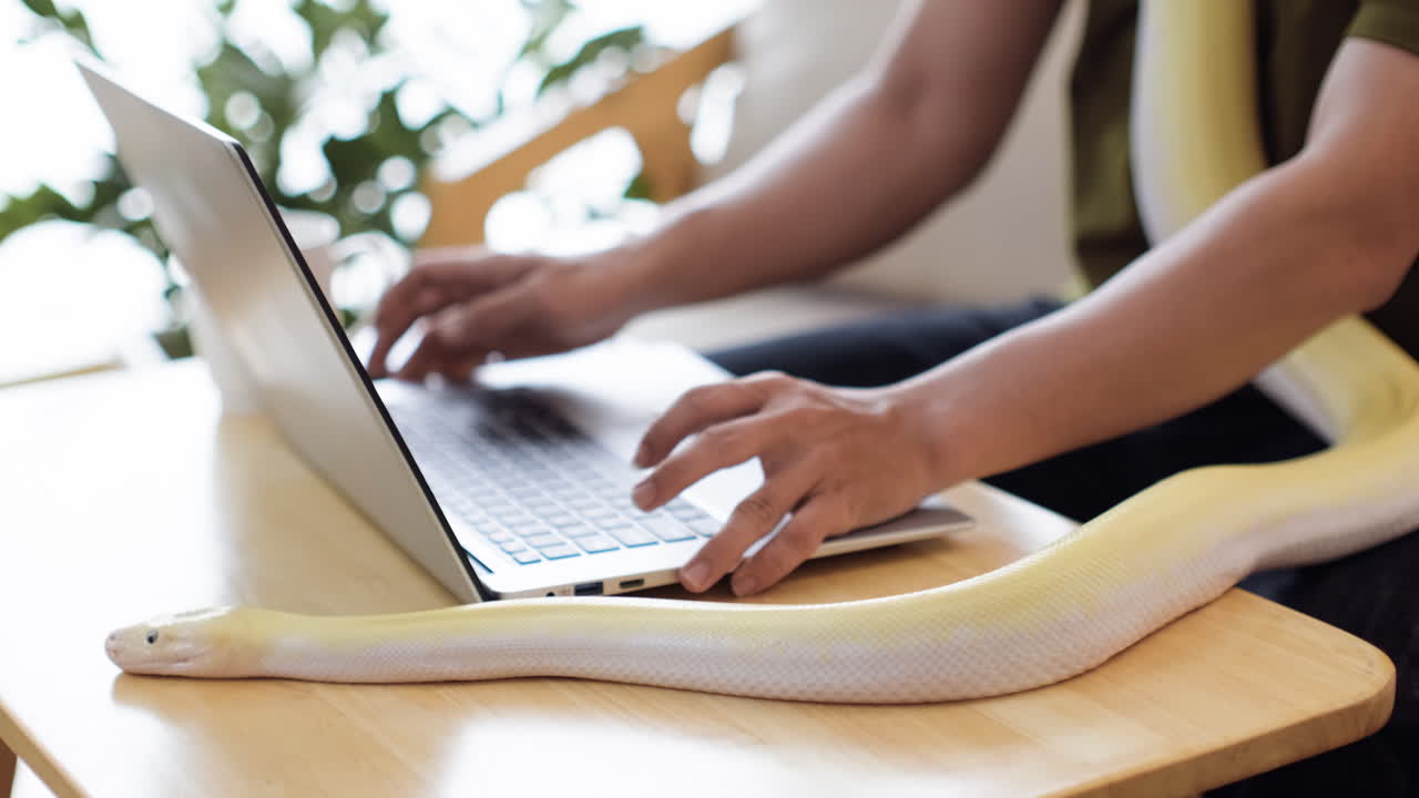 hombre trabajando con serpiente en casa