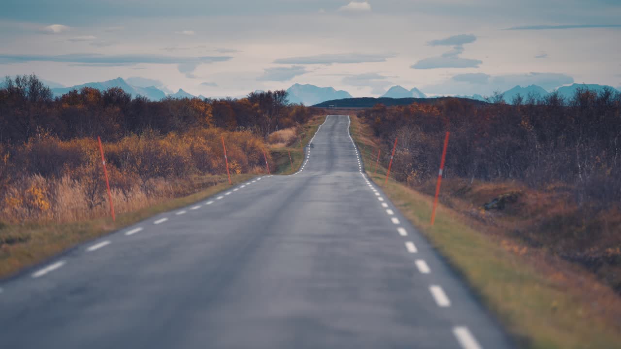 A narrow asphalt road in the autumn tundra landscape