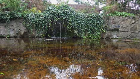 Grüne-Efeupflanzen-Verbergen-Den-Wasserfall-Im-Teich-Des-Stadtparks