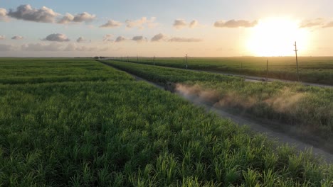 Traktor-Fährt-Zwischen-Zuckerrohrfeldern-Und-Hinterlässt-Eine-Staubspur,-Higueral,-La-Romana-In-Der-Dominikanischen-Republik