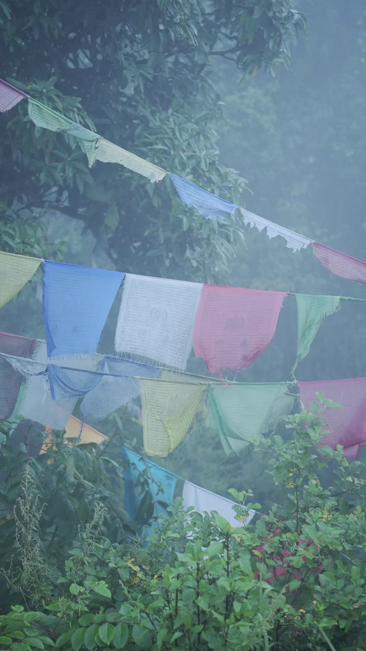Misty Blue Buddhist Prayer Flags in Nepal, Vertical Video for Social Media Instagram Reels and Tiktok of Prayer Flags in Forest in Mist with Atmospheric Mood in the Himalayas in Tranquil Scene
