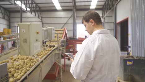 ingeniero de alimentos trabajando en tableta en embalaje de patatas, fábrica de almacenamiento.