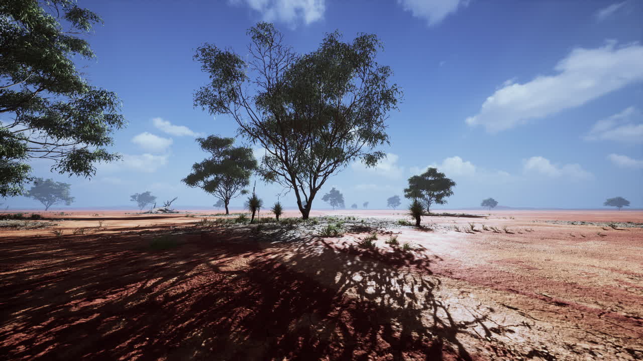 오스트레일리아 의 외 지역: 은 모래, 유칼립투스 나무, 은 하늘