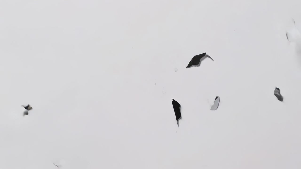 Laying black sheet with white panels and text on white table, hands peeling layer, scattering bits