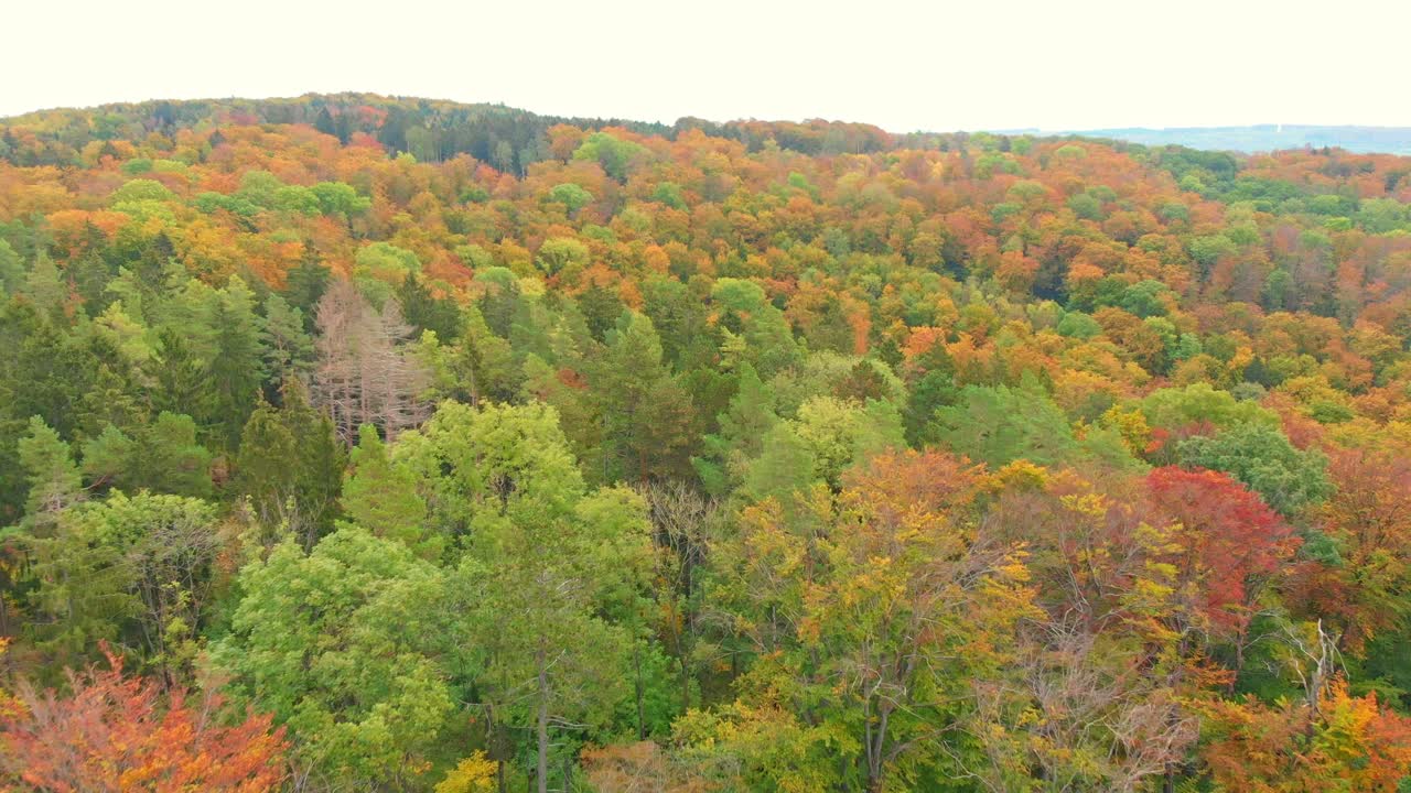 toma aérea de drones de vibrantes colores otoñales 4k