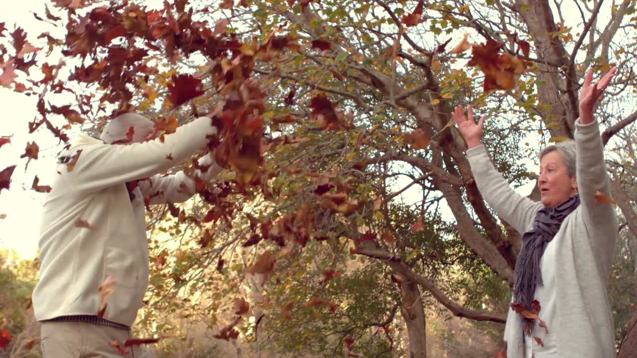 함께 즐거움을 즐기는 성숙한 커플