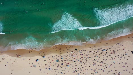 Sydney---Playa-Bondi-Vuelo-Lateral