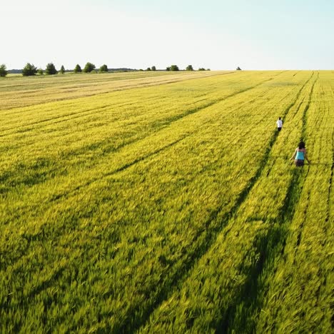 familia caminando por el campo