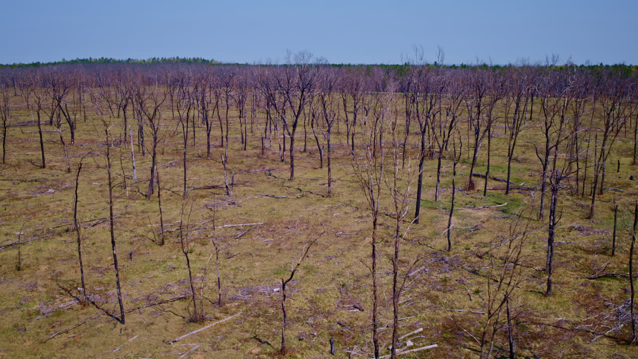 높은 곳에서 날아다니는 드론이 산불의 파괴적인 범위를 포착하고 있습니다.