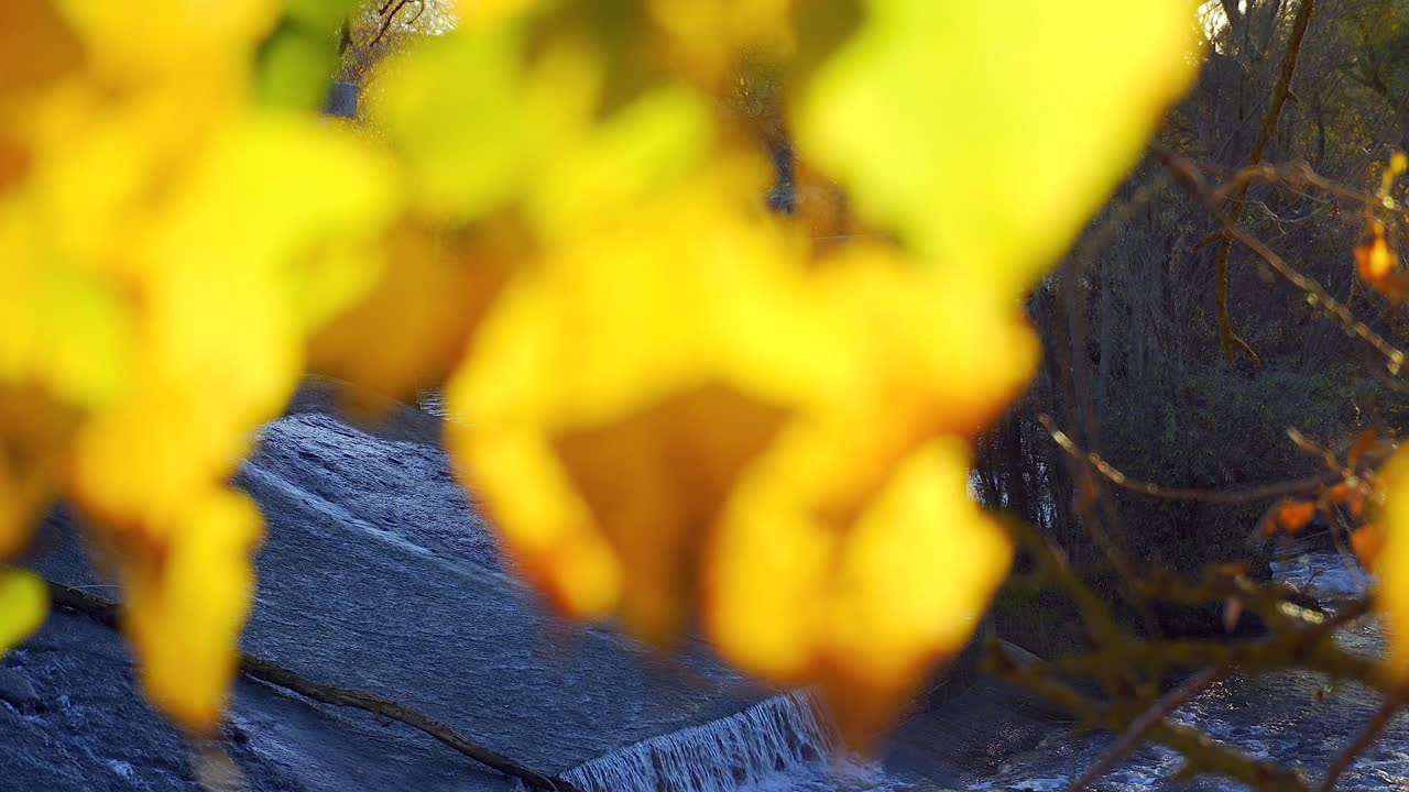 석양의 강둑, 아름다운 전망