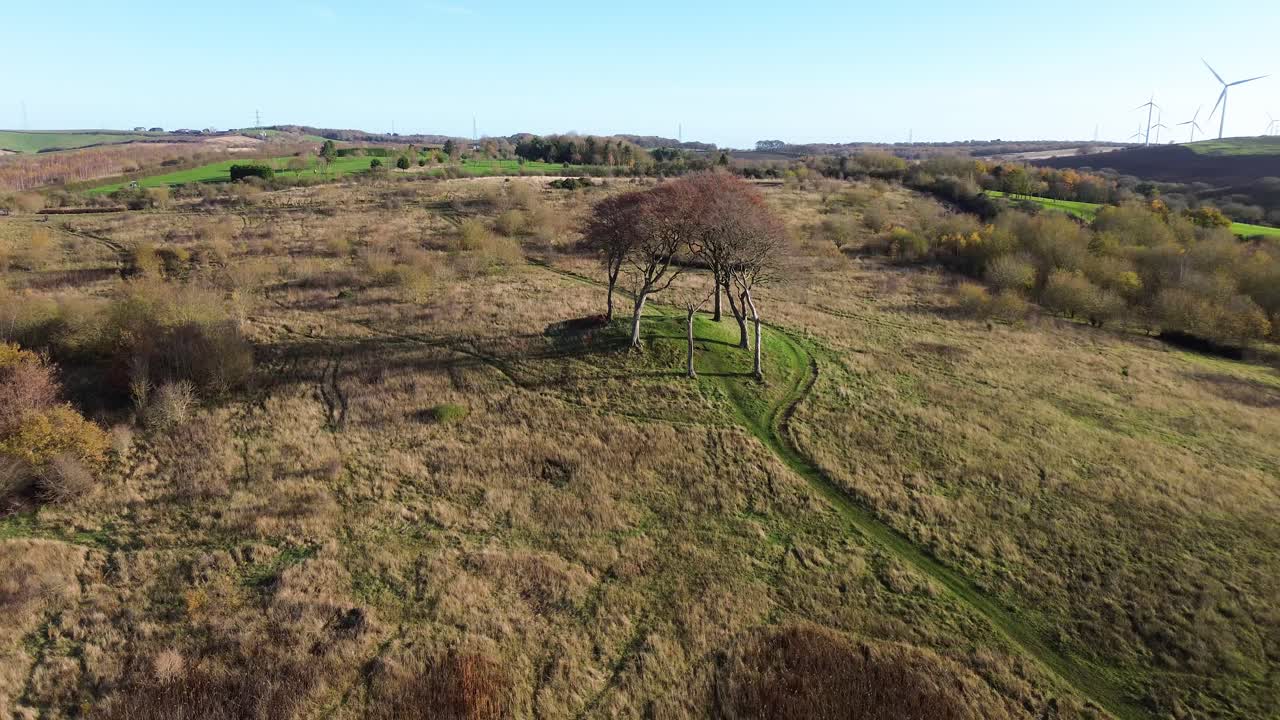 Aerial View of a Hill with Trees and a Path