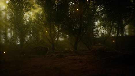 luciérnaga en el bosque brumoso con niebla