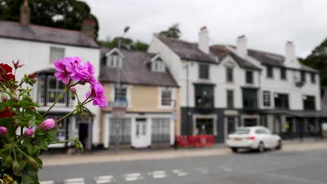 truck passes flower and pedestrians in wrexham