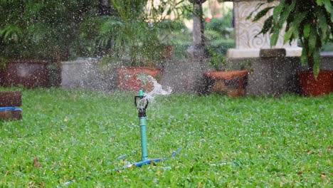 sprinkler operating in the rain, watering green grass