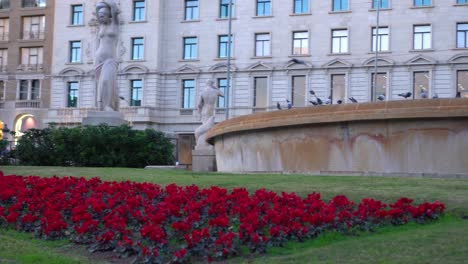 slow pan on red flowers and white statues in front of building facades with pigeons flying around on a clear evening