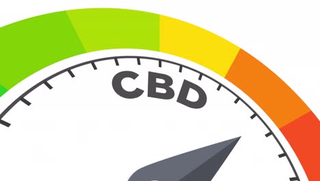 animación a nivel de cbd